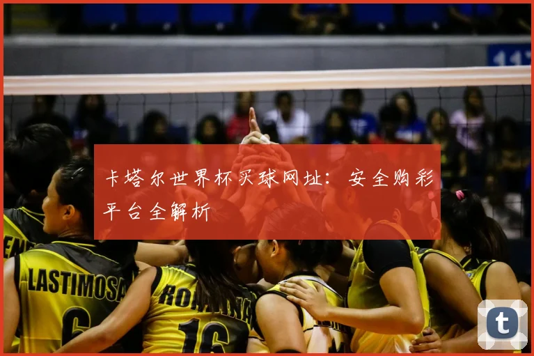 卡塔尔世界杯买球网址：安全购彩平台全解析