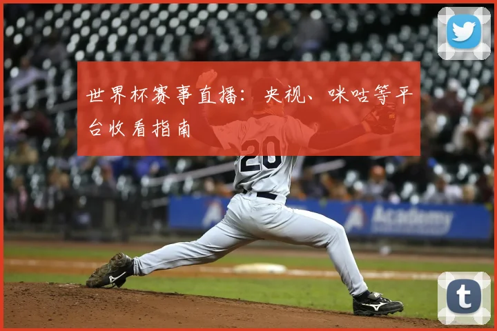 世界杯赛事直播：央视、咪咕等平台收看指南