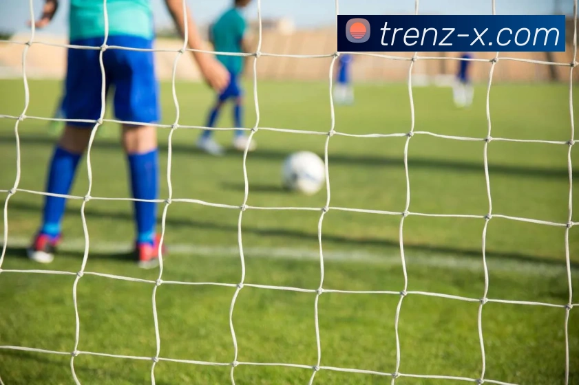 八戒体育app网站平台生态图